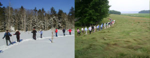 groups walking near Great Bay