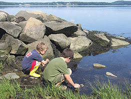 kids exploring Great Bay